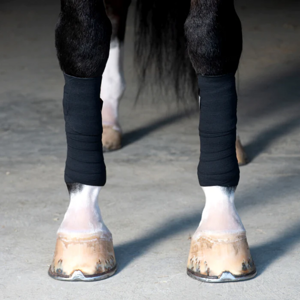 Bandáže tréningové Incrediwear Equine čierne Veľkosť: pony