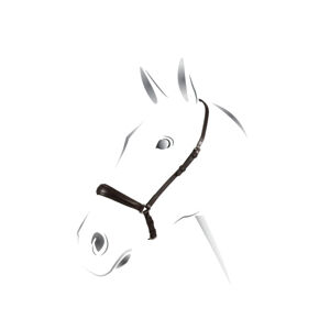 Nánosník hanoverský Supreme Farba: Čierna, Veľkosť: pony